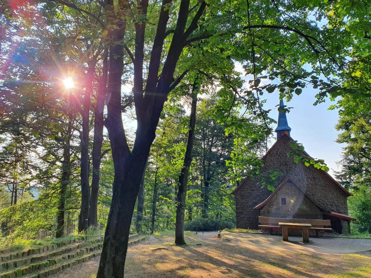 Odenwald-Lodge Mit Infrarotsauna Und E-Ladestation Im Naturpark Odenwald "Haus Himmelblau" Reichelsheim Exterior photo